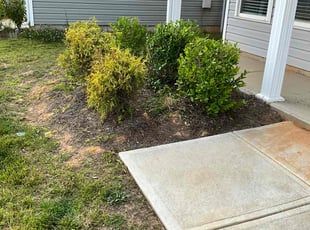 Bush Trimming by Beau Pais for Logan N. in Greensboro, NC
