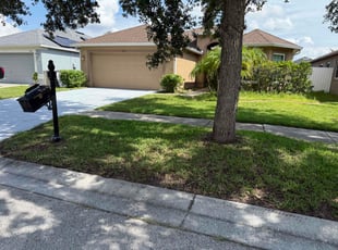 Bush Trimming by William Chavers for Gayle G. in Gibsonton, FL