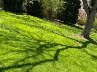 Marty M.'s Lawn Care service result