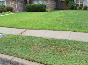 Curtis C.'s Lawn Care service result