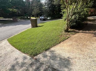 Demonica M.'s Lawn Mowing service result