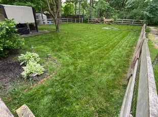Emma Marie P.'s Lawn Service service result