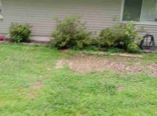 Bush Trimming by Lionel Lee for Dawn S. in Stockbridge, GA