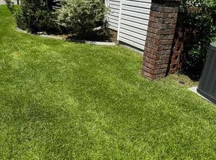 Jaffi H.'s Lawn Mowing service result