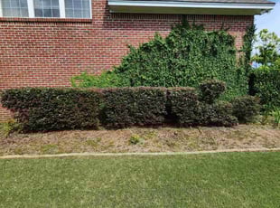 Bush Trimming by Russell Alan for Rick E. in Montgomery, AL