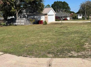 Alexander A.'s Lawn Maintenance service result