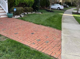 Sue M.'s Lawn Service service result
