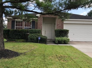 Bush Trimming by Lorenzo Rivera for Lakesha C. in Spring, TX