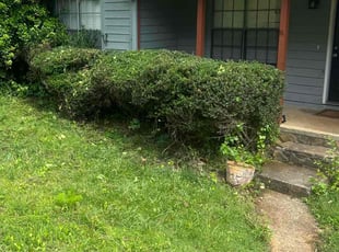 Bush Trimming by Nathan Otwell for Thomas W. in Duluth, GA
