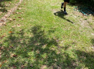 Leaf Removal by Derek Sterner for Don P. in Jacksonville, FL