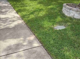 Sarah D.'s Lawn Mowing service result