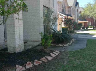 Bush Trimming by Rafael Gonzalez for Liana A. in Pearland, TX
