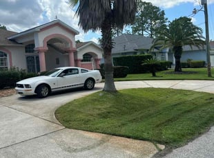 Joanne M.'s Lawn Service service result
