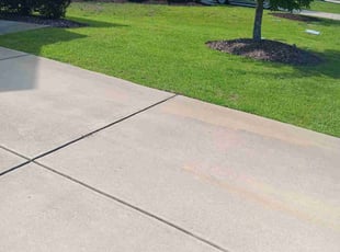 Dimitri P.'s Lawn Care service result