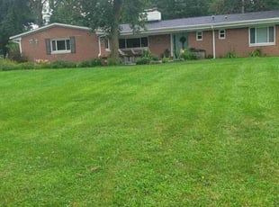 Crystal A.'s Lawn Mowing service result