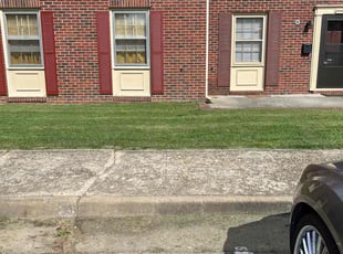 Anthony C.'s Lawn Mowing service result