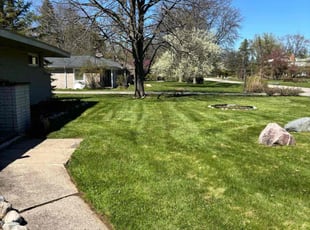 Ethan H.'s Lawn Service service result