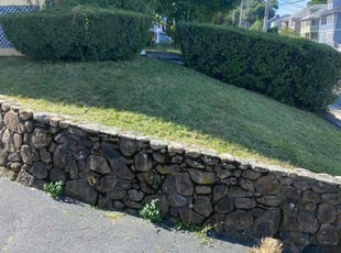 David R.'s Lawn Service service result