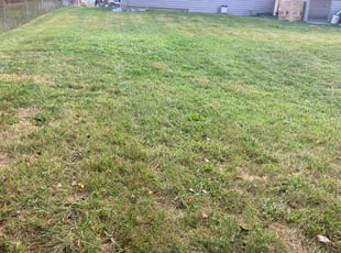 Jeffrey J. B.'s Yard Cutting service result