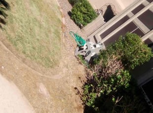 Weeding by Maria Gonzalez for John G. in Mesa, AZ