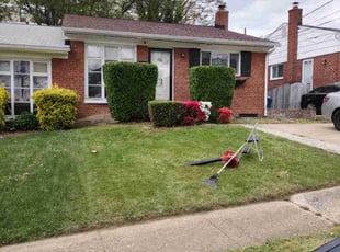Bush Trimming by David Peters for Constance B. in Alexandria, VA