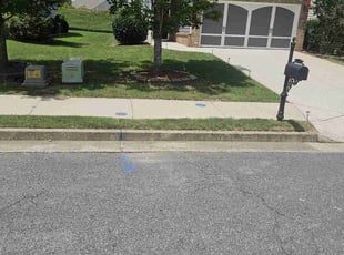 Dmitriy E.'s Lawn Service service result