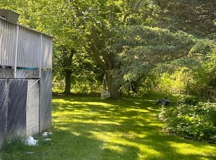 Arthur B.'s Lawn Care service result