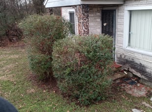 Bush Trimming by Ashley McCarty for Veronica B. in Memphis, TN