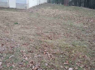 Leaf Removal by Matt Wendland for Kim B. in Asheville, NC