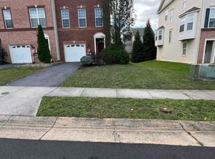 Keetra T.'s Lawn Care service result