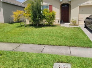 Timothy F.'s Lawn Care service result