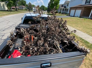 Cleanups by Mark Yohman for Christine P. in Canal Winchester, OH