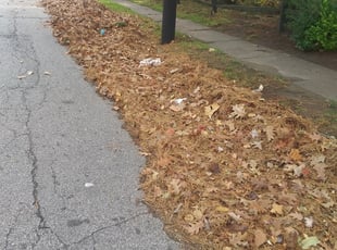 Leaf Removal by Willie Tisdel for Charles W. in Cleveland, OH