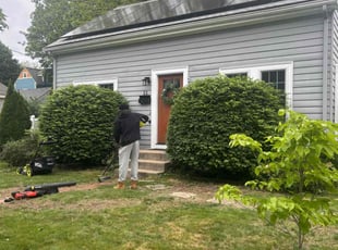 Bush Trimming by Tutu Okundaye for Laura S. in Sharon, MA
