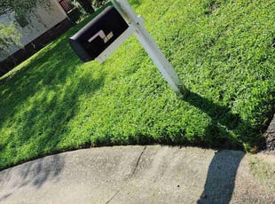 Greg C.'s Lawn Care service result
