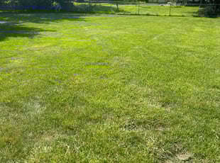 Karyn B.'s Yard Cutting service result