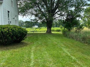 CHARLOTTE D.'s Lawn Care service result