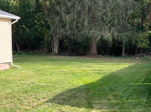 Shea M.'s Lawn Service service result