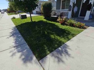 Katrina F.'s Lawn Maintenance service result