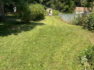 Christopher h.'s Lawn Maintenance service result