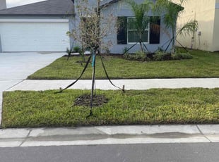 Breonna t.'s Lawn Mowing Service service result