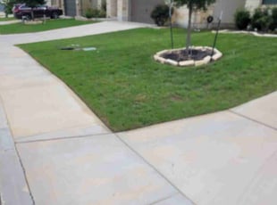 Carl S.'s Lawn Service service result