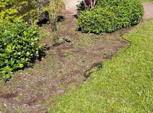 Weeding by Carlos Martinez for maddie k. in Davenport, FL