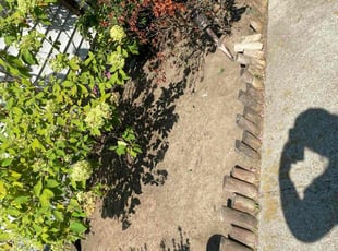 Weeding by Irvin Lopez for Taylor M. in Nashville, TN