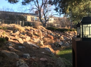 Weeding by Trey Weiler for Jesse M. in LAKEWOOD, CO