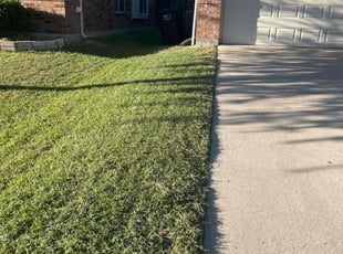 Alexandra G.'s Lawn Maintenance service result