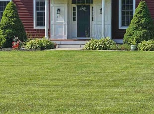 Titus R.'s Grass Cutting service result