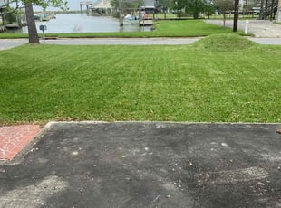 David M.'s Lawn Mowing Service service result