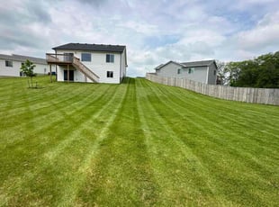 Steve D.'s Lawn Care service result