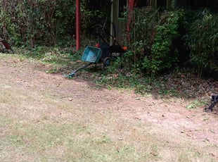 Bush Trimming by Jason Aycoth for Gladys L. in Charlotte, NC